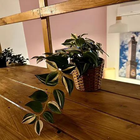 Loft La Lanterna * 热那亚